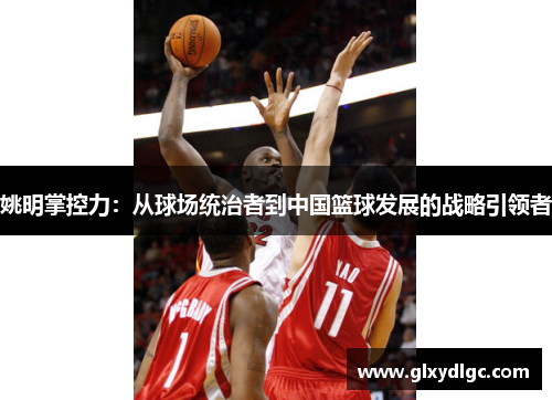 姚明掌控力：从球场统治者到中国篮球发展的战略引领者