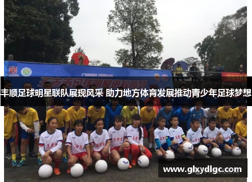 丰顺足球明星联队展现风采 助力地方体育发展推动青少年足球梦想