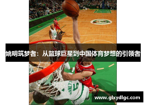 姚明筑梦者：从篮球巨星到中国体育梦想的引领者