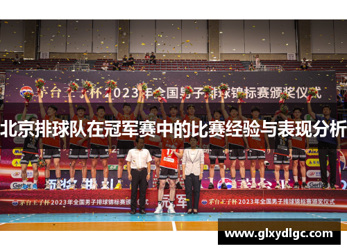 北京排球队在冠军赛中的比赛经验与表现分析