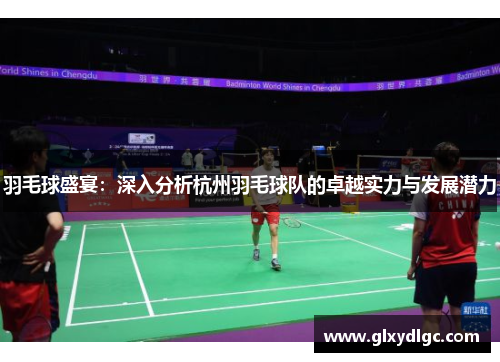 羽毛球盛宴：深入分析杭州羽毛球队的卓越实力与发展潜力