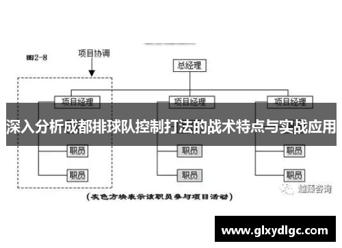 深入分析成都排球队控制打法的战术特点与实战应用