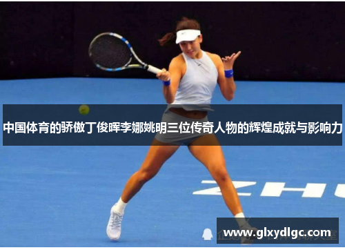 中国体育的骄傲丁俊晖李娜姚明三位传奇人物的辉煌成就与影响力