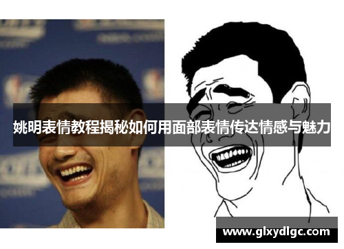 姚明表情教程揭秘如何用面部表情传达情感与魅力
