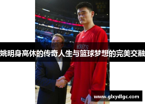 姚明身高休的传奇人生与篮球梦想的完美交融
