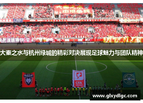 大秦之水与杭州绿城的精彩对决展现足球魅力与团队精神