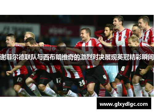 谢菲尔德联队与西布朗维奇的激烈对决展现英冠精彩瞬间