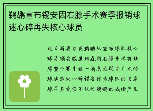 鹈鹕宣布锡安因右膝手术赛季报销球迷心碎再失核心球员